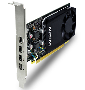 P1000-02.jpg